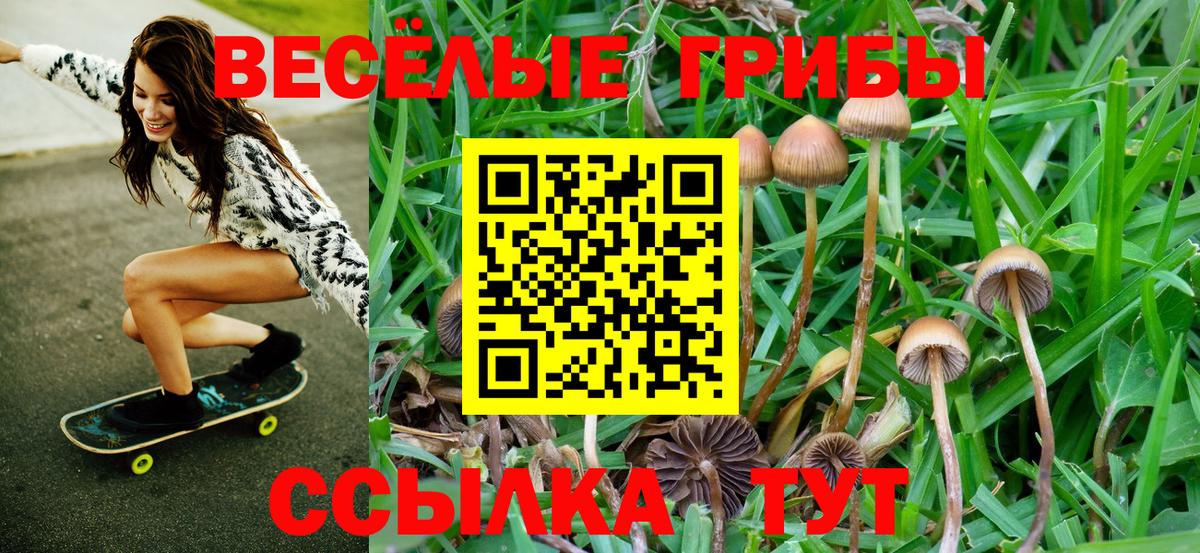 сколько стоит  Вход с VPN  Рославль  Псилоцибиновые грибы MAGIC MUSHROOMS  Псилоцибиновые грибы прущие грибы 